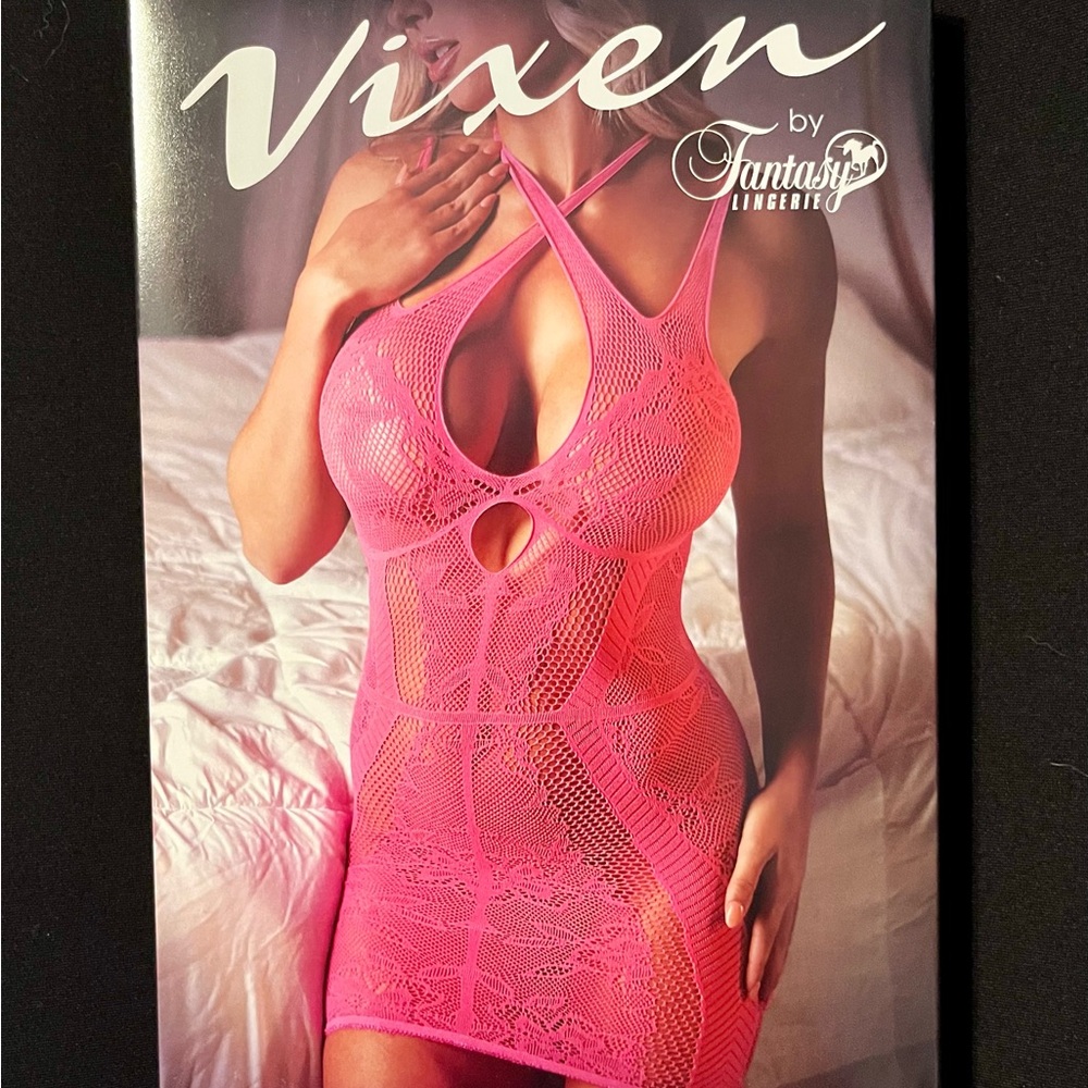 Vixen Pink Lace Dress by Fantasy Lingerie